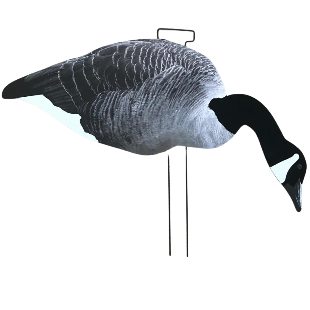 Windy Canada Goose Decoy Kit silhouette with multiple decoys for hunting or wildlife observation.