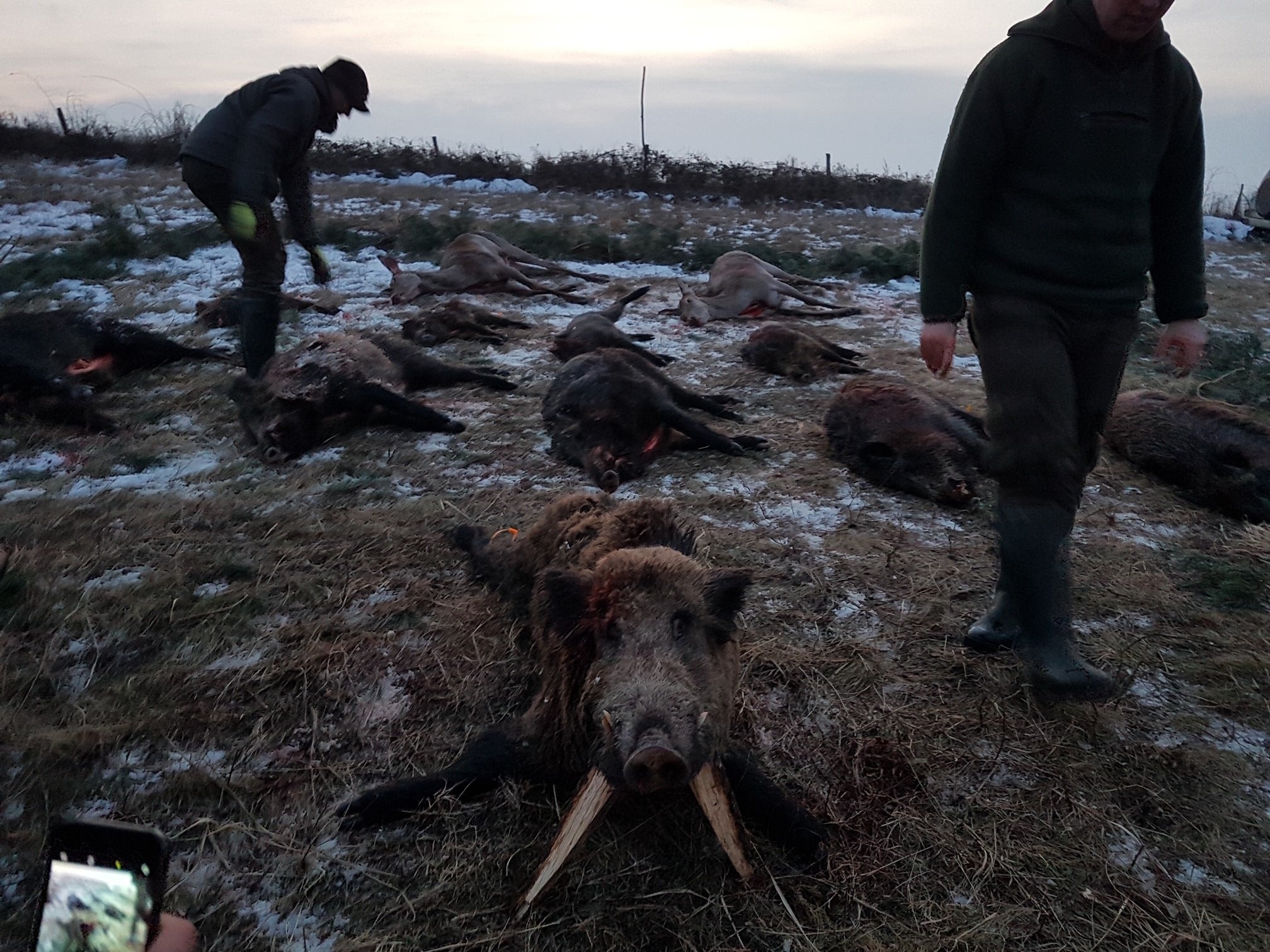 HUNGARY HUNTING TRIP WILD BOAR Kisbar 13th-14th January 2026