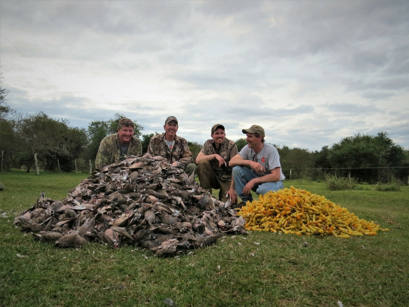 Dove shooting trip in Argentina organized by A1 Decoy Ltd, featuring hunters in outdoor field with shotguns and doves.