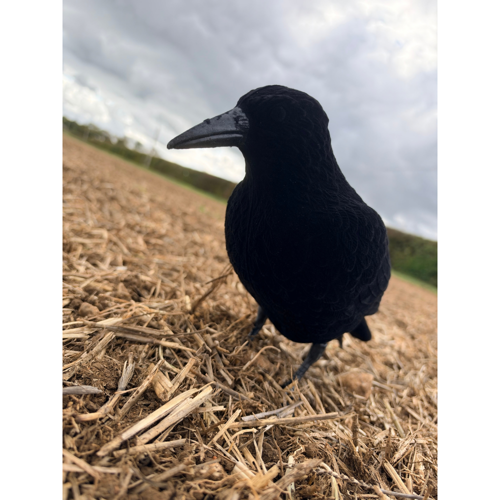 Three WINDY flocked crow decoys designed for whole-body bird hunting and wildlife observation.