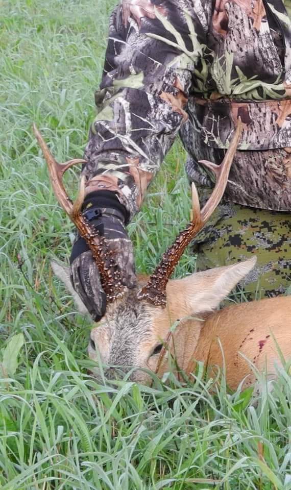 Siberian Roe Deer Trip to Russia New and Improved Prices!