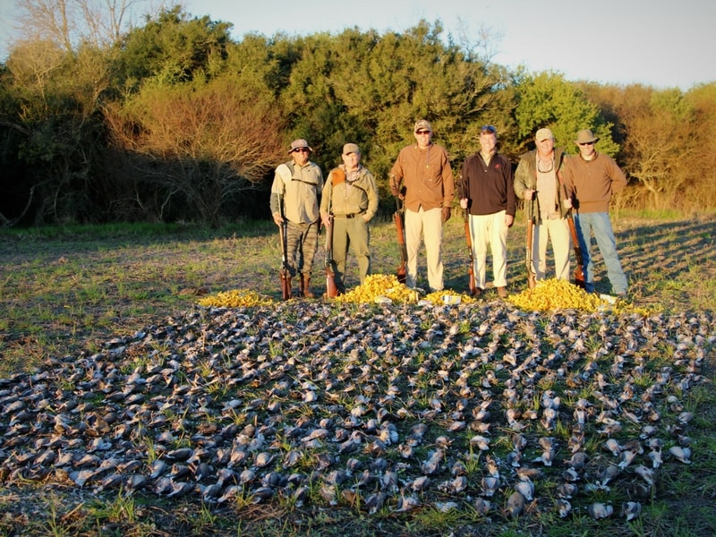 Dove shooting trip in Argentina with A1 Decoy Ltd showing hunters in outdoor field setting during a shooting excursion.