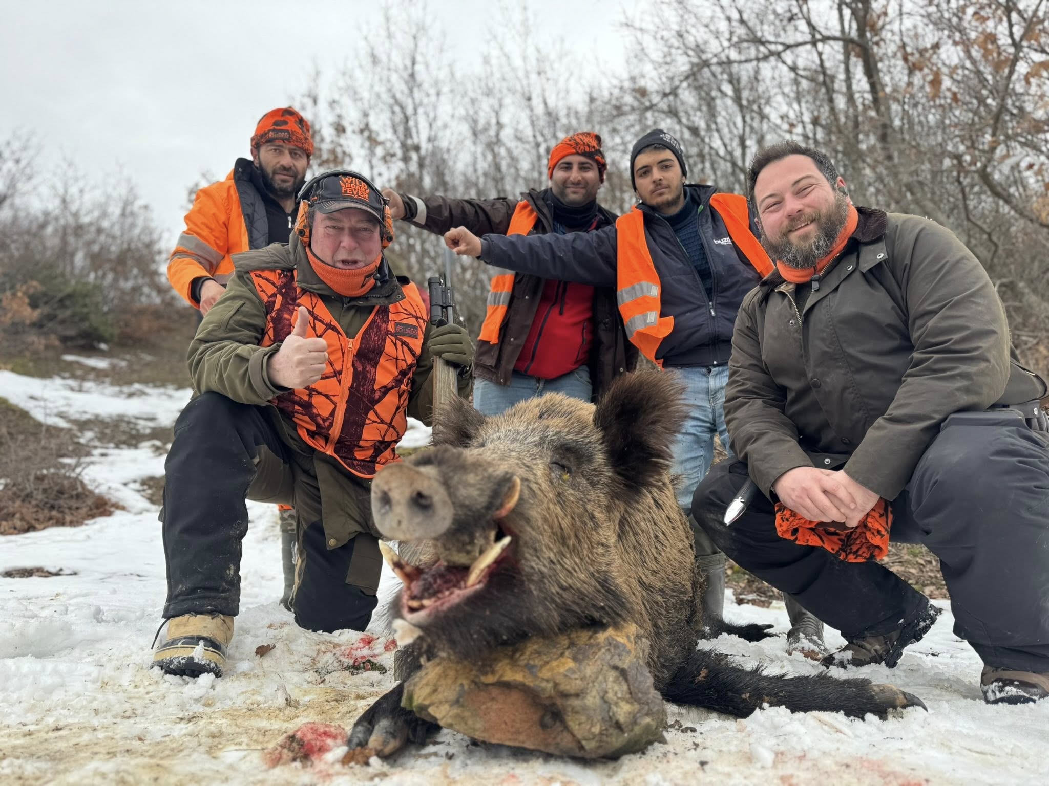 Driven Wild Boar Hunting in Turkey / Turkiye February 5th-10th 2027 5/6 Days Shooting Turkish Record