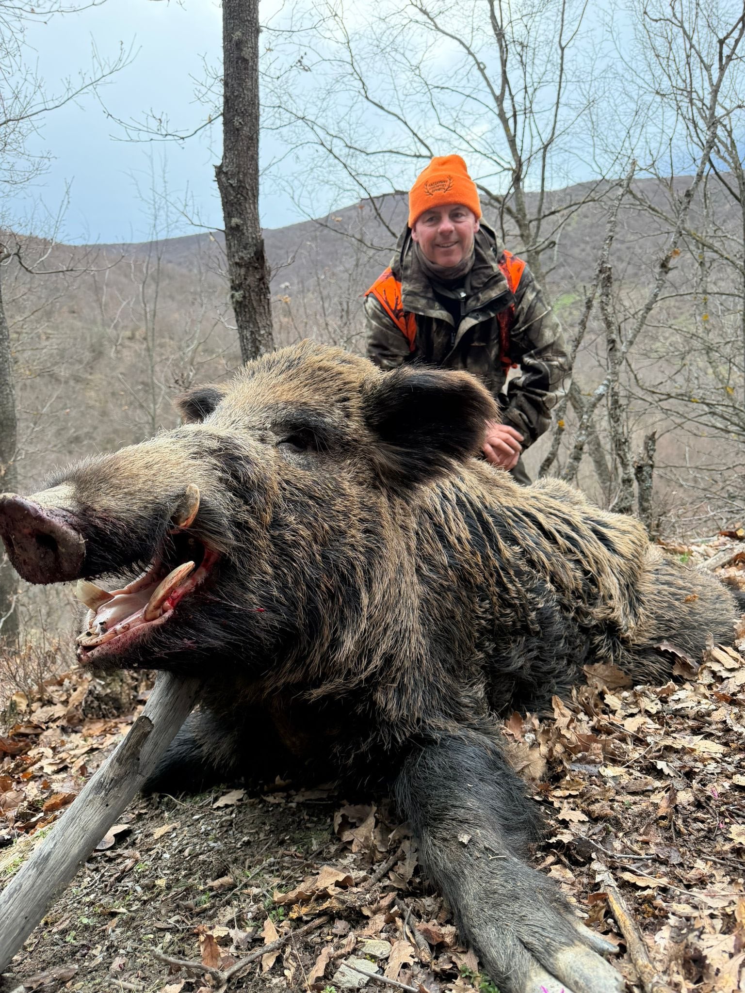 Driven Wild Boar Hunting in Turkey / Turkiye February 5th-10th 2027 5/6 Days Shooting Turkish Record