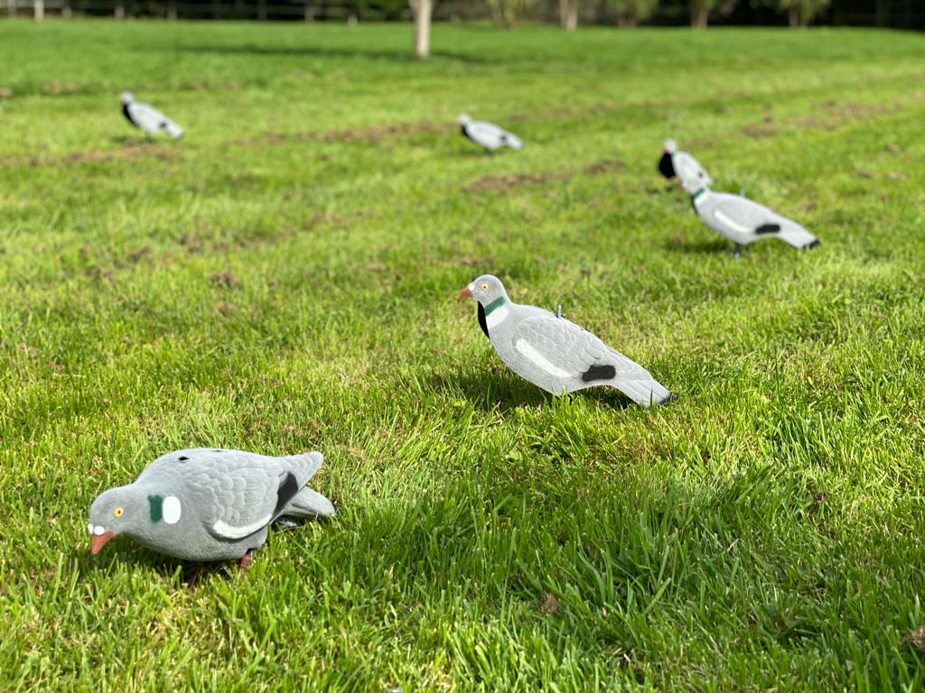 A1 DECOY PIGEON PACK