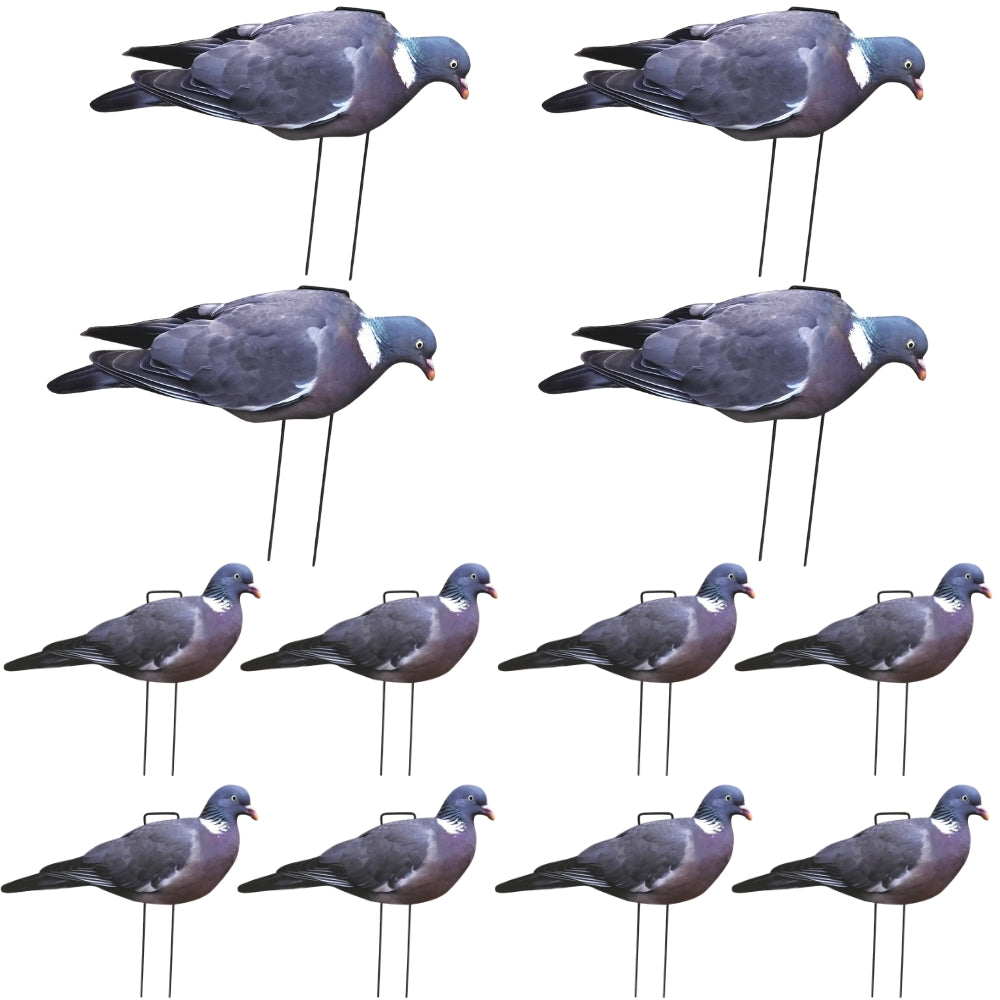 Multiple pigeon decoys on stands arranged in a grid pattern.