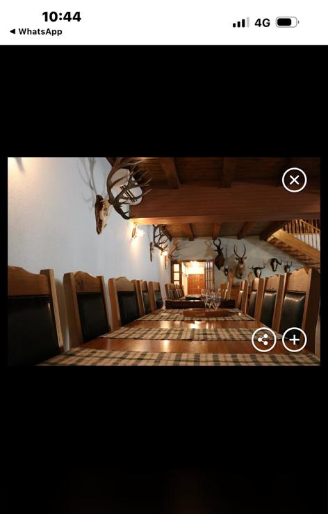 Luxury wild boar hunting experience in Croatia offered by A1 Decoy Ltd, featuring scenic outdoor terrain and hunting gear.