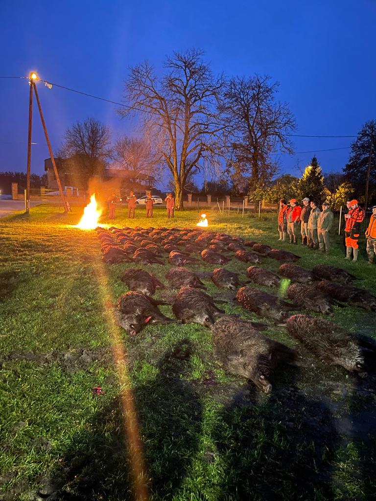 Luxury wild boar hunting experience in Croatia by A1 Decoy LTD, featuring hunting equipment and scenic outdoor setting.