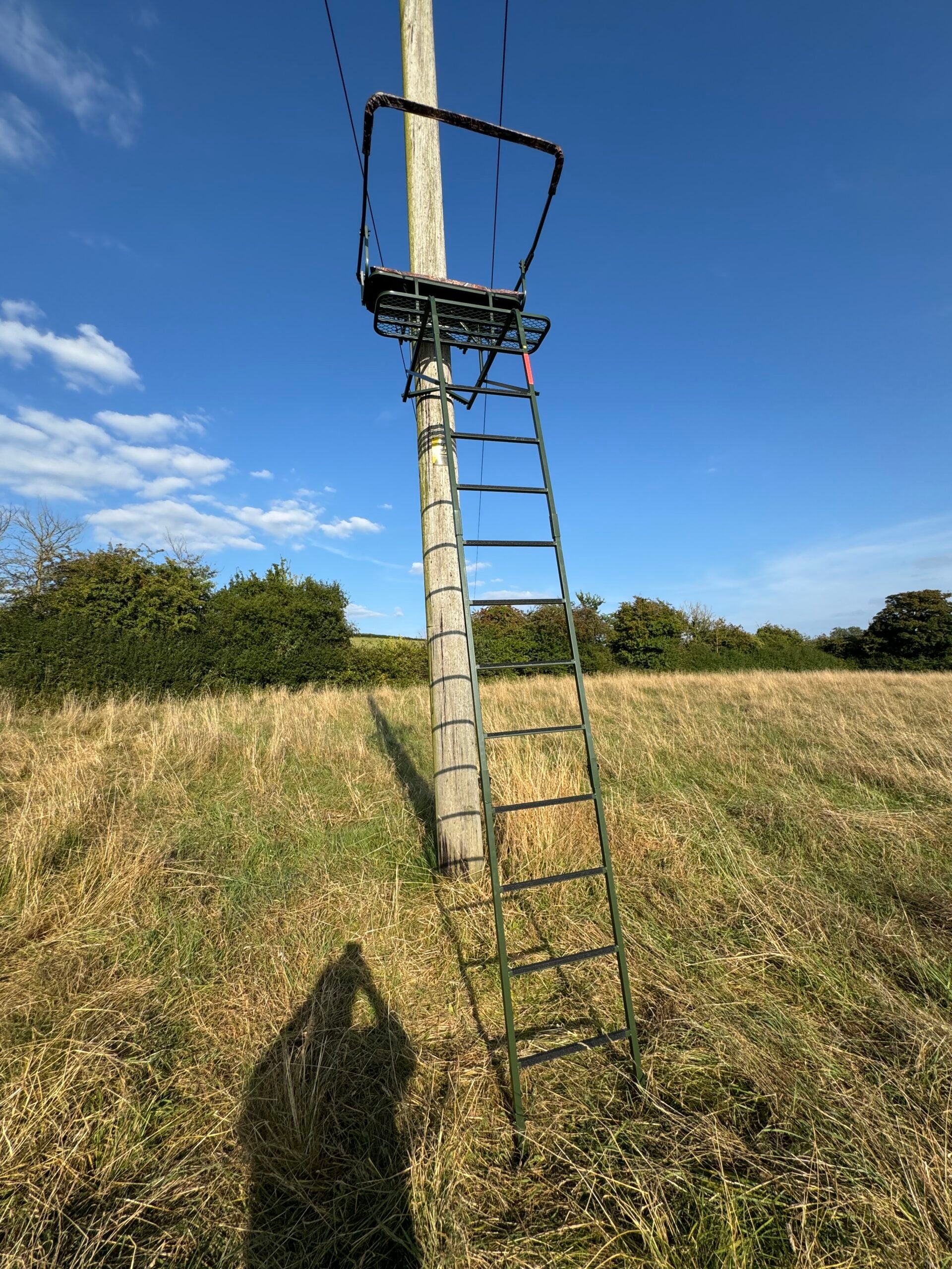 Dale double lean-to high seat ladder stand with padded seating and galvanised steel frame for two hunters.