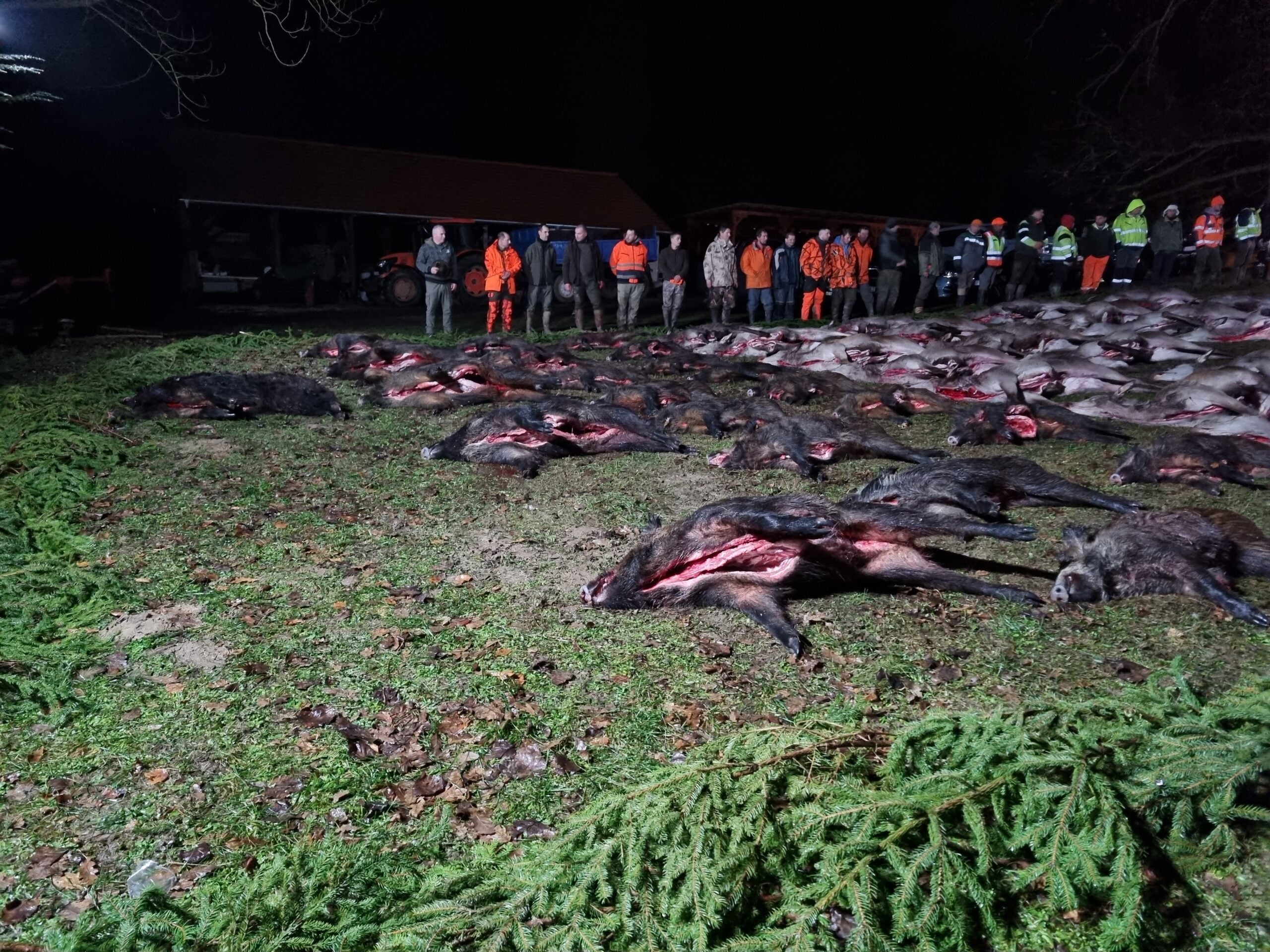 HUNGARY HUNTING TRIP WILD BOAR Kisbar 13th-14th January 2026