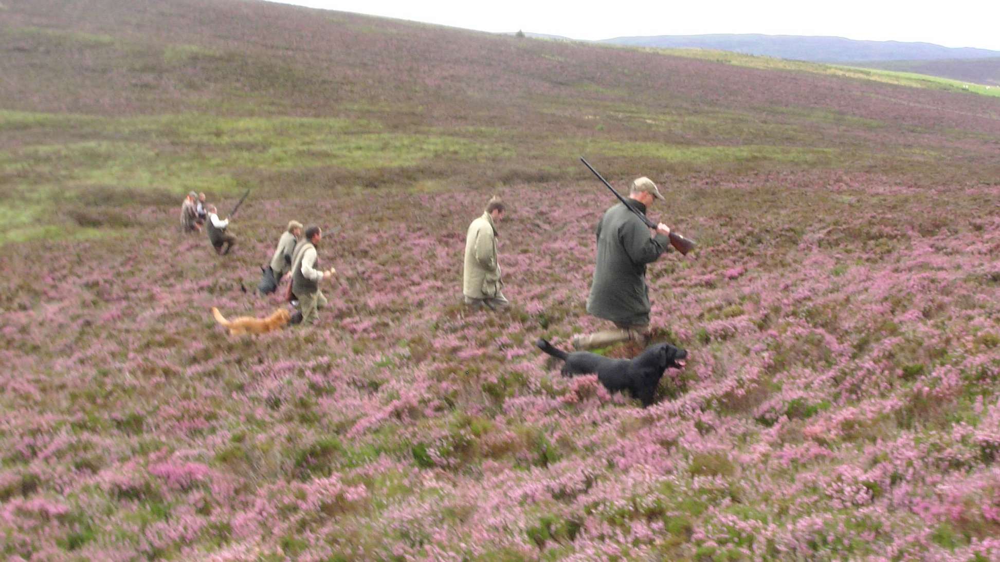 ROUGH SHOOTING SYNDICATE