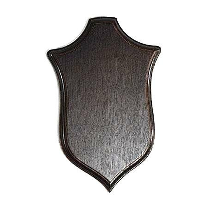 Seeland Trophy Shield Plaque Plate with engraved details, mounted on a wooden backing, suitable for award display.