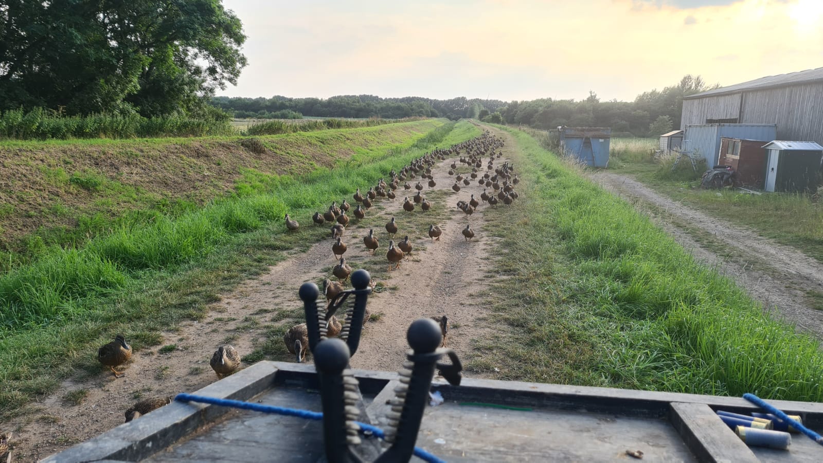 250 Duck Day with Full Hospitality September 27th 2025 Yorkshire East Bransburton