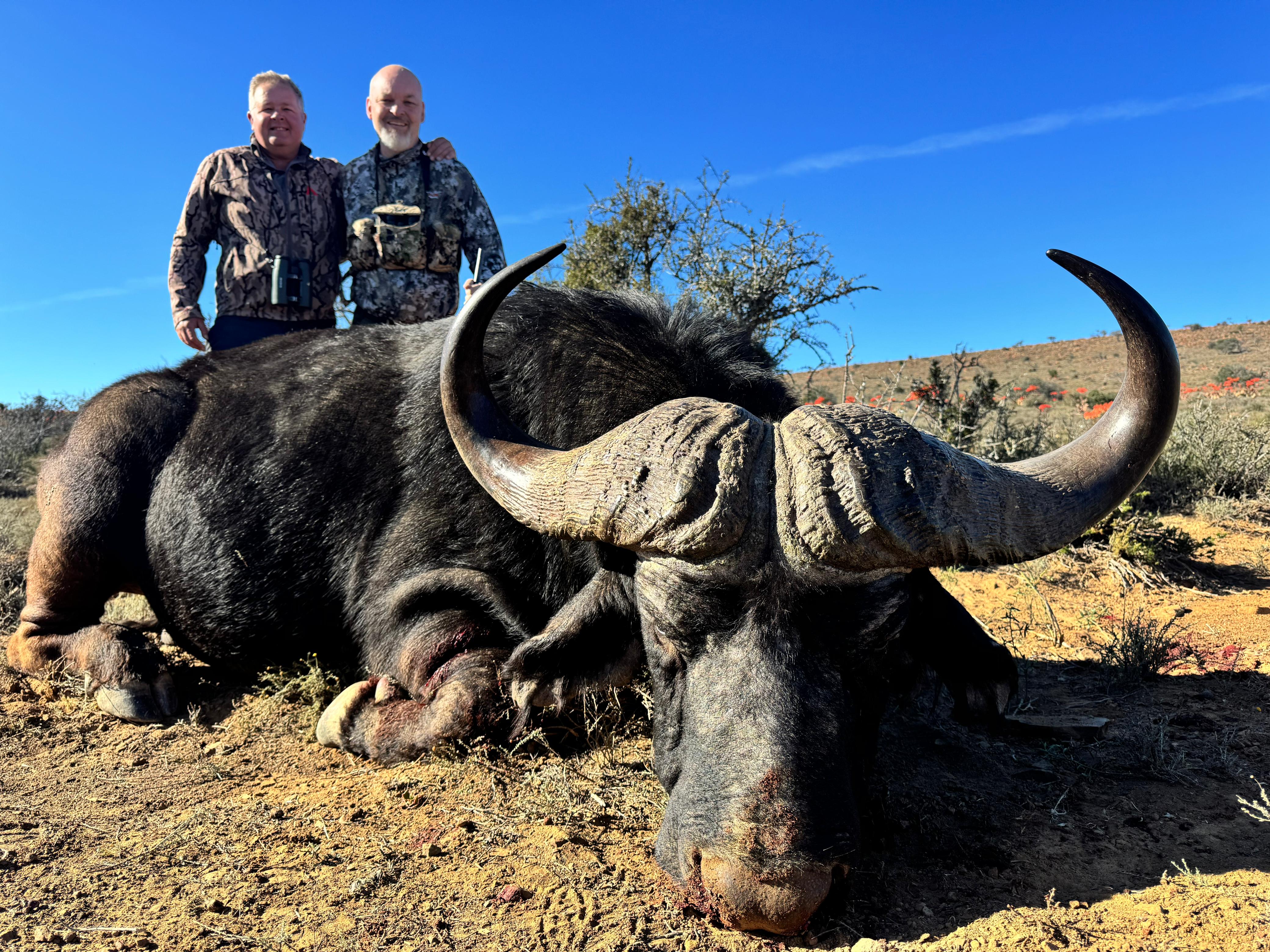 Africa Cull Hunt South Africa Port Elizabeth