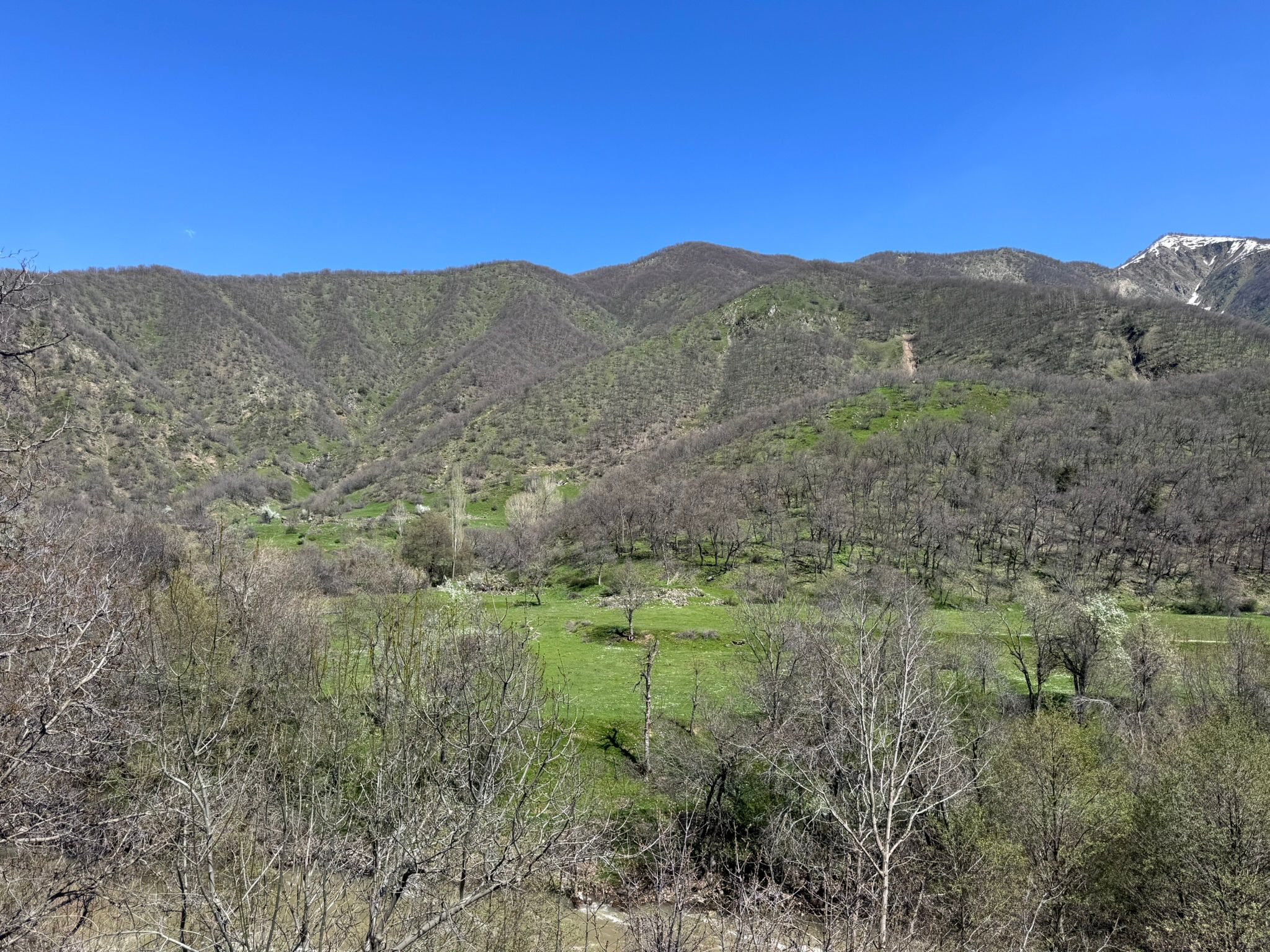 Driven Wild Boar Hunting in Turkey / Turkiye November 2026 NEW AREA THE HIDDEN VALLEY