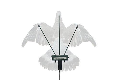 A Ford Turbo Pigeon Flapper magnet, showcasing its design and branding, used for automotive or decorative purposes.