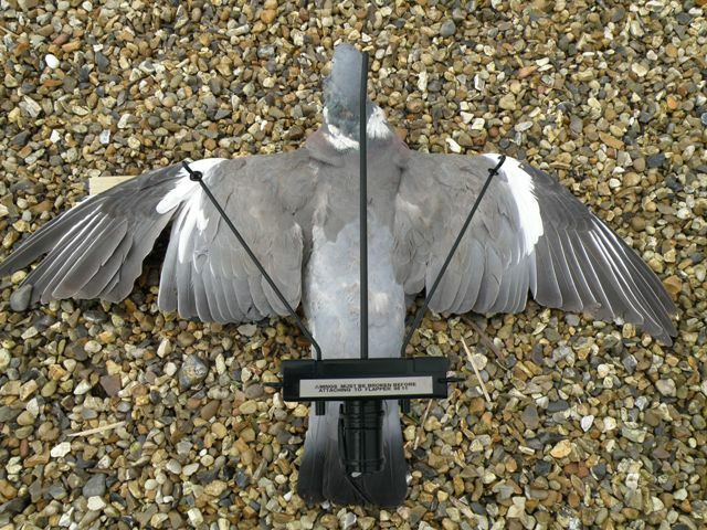 A Ford Turbo Pigeon Flapper magnet, a colorful rubber flapper used for pigeon racing or bird training.