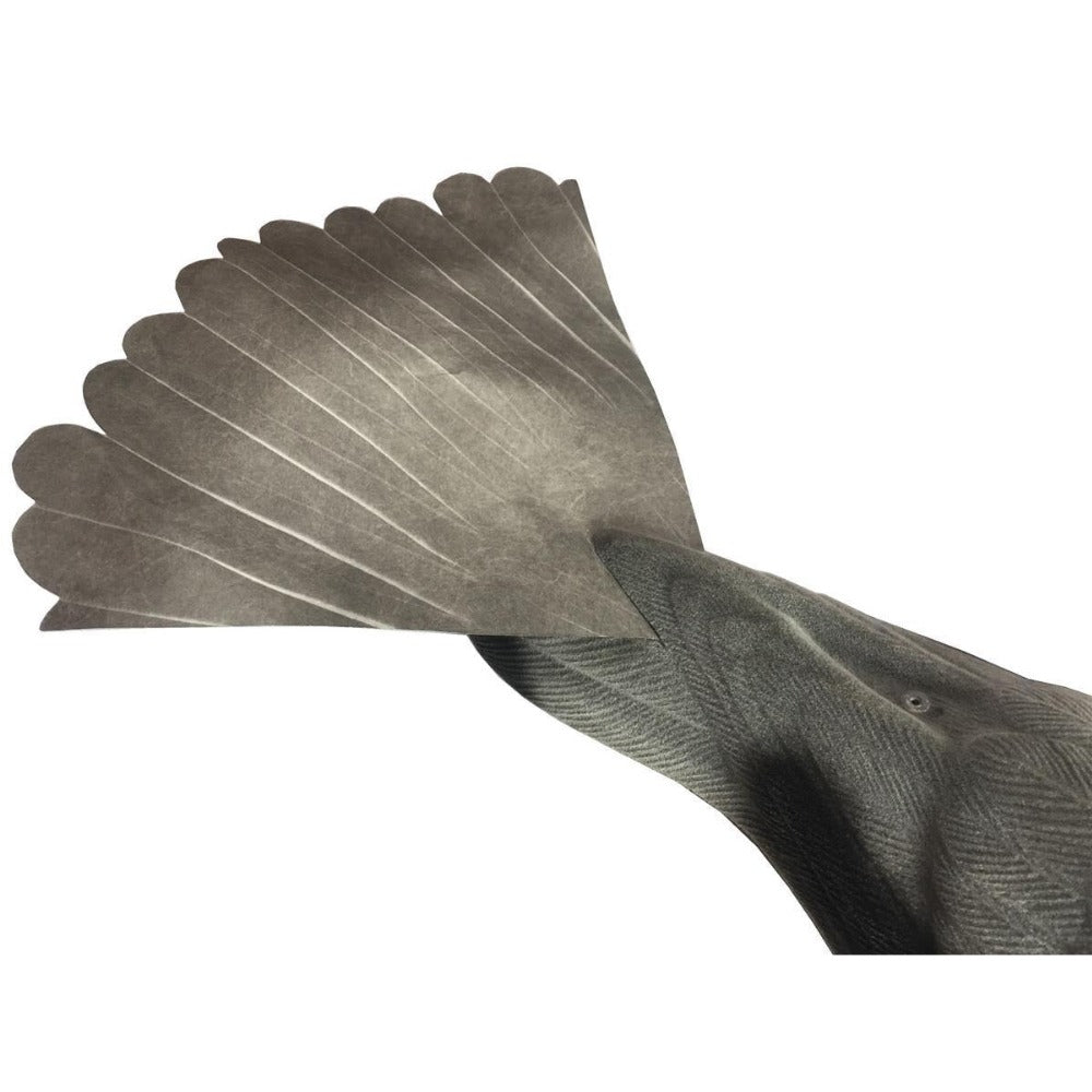 A1 Decoy ProFlap decoy tail replacement set with two durable, realistic-looking tails for waterfowl decoys.