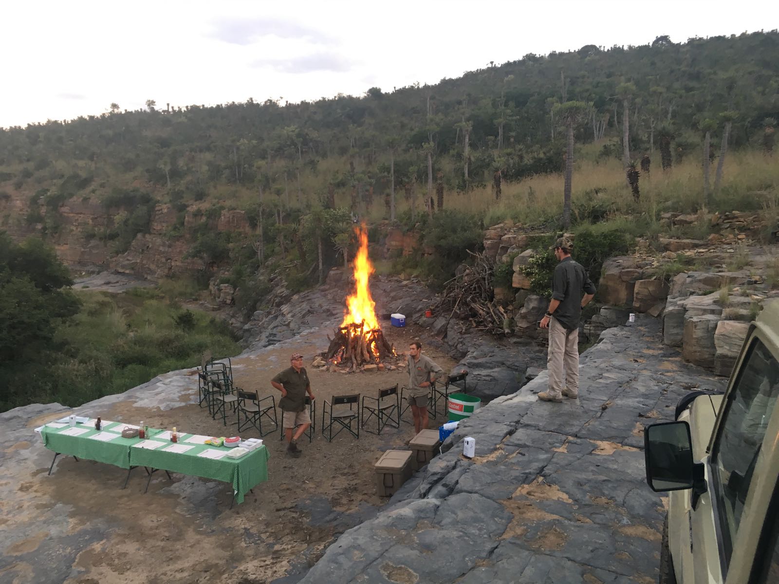 A1 DECOY LTD cull packages with Rance Safaris, featuring images of animals on the Kei River Reserve.