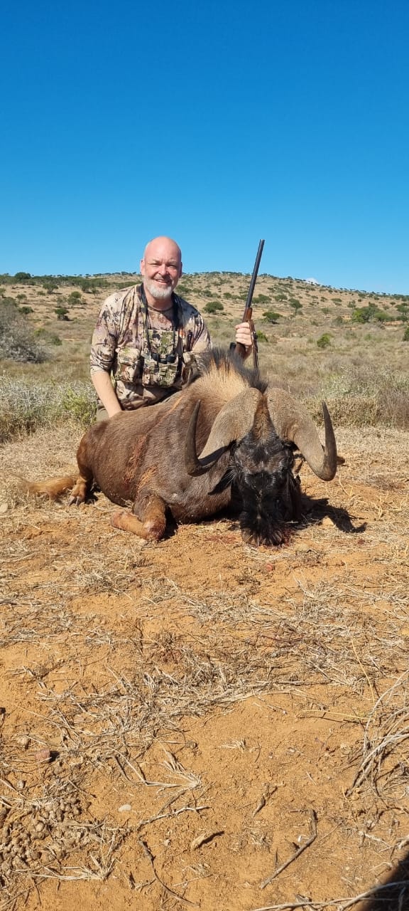 A1 DECOY LTD Africa Cull Hunt South Africa Port Elizabeth wildlife decoy for hunting or display.