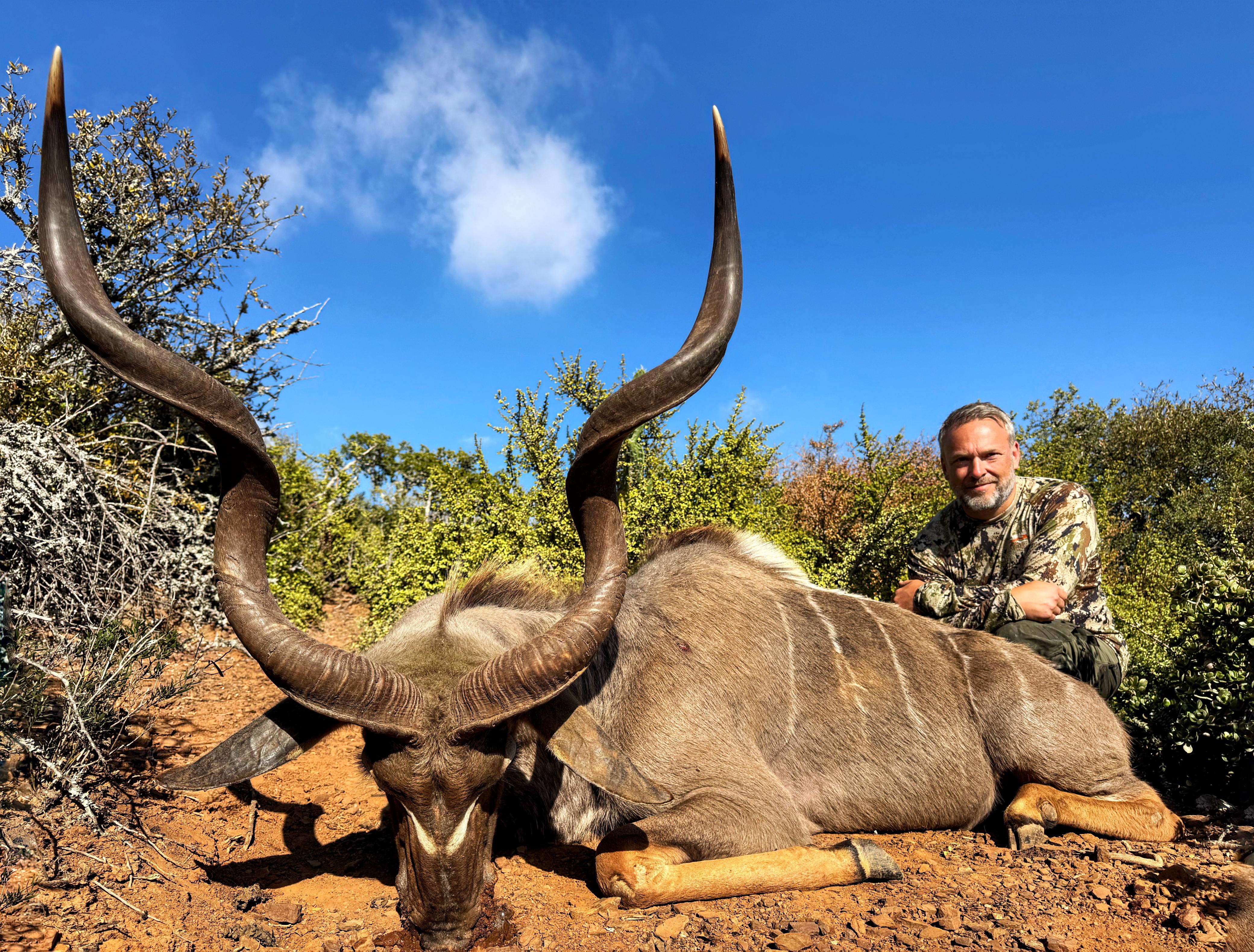 Africa Cull Hunt South Africa decoy with wildlife scene, featuring animals and landscape, by A1 DECOY LTD.