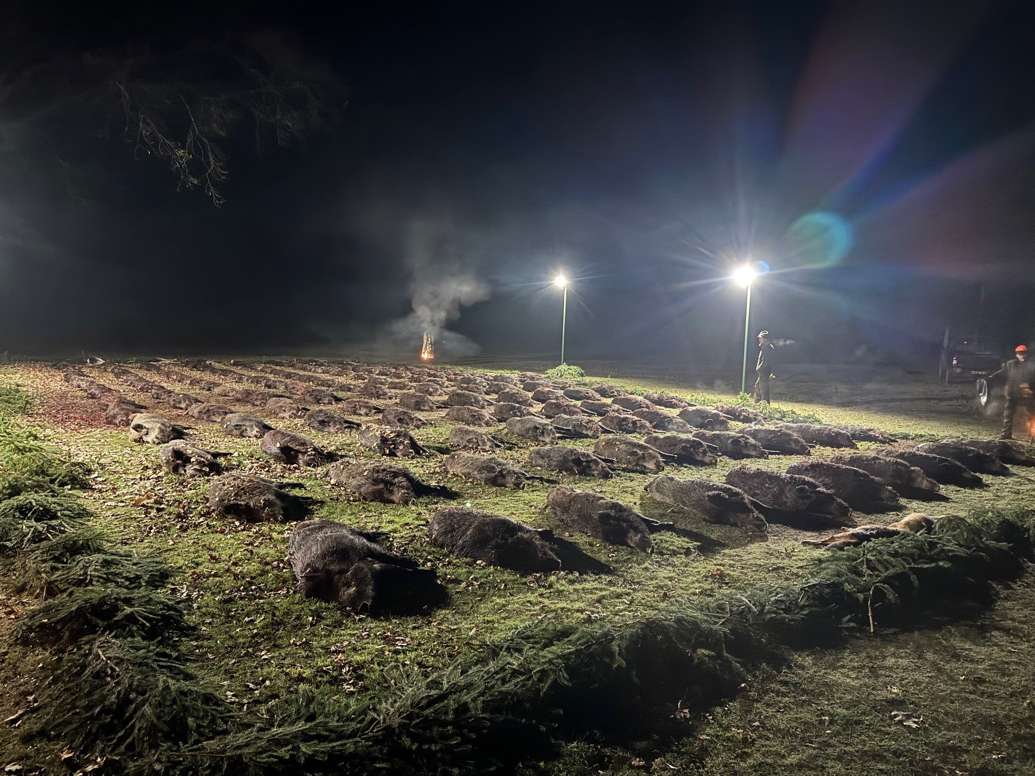 Wild boar hunting trip in Hungary with A1 Decoy Ltd, featuring hunting gear and scenic outdoor landscape from the Kaszó region.