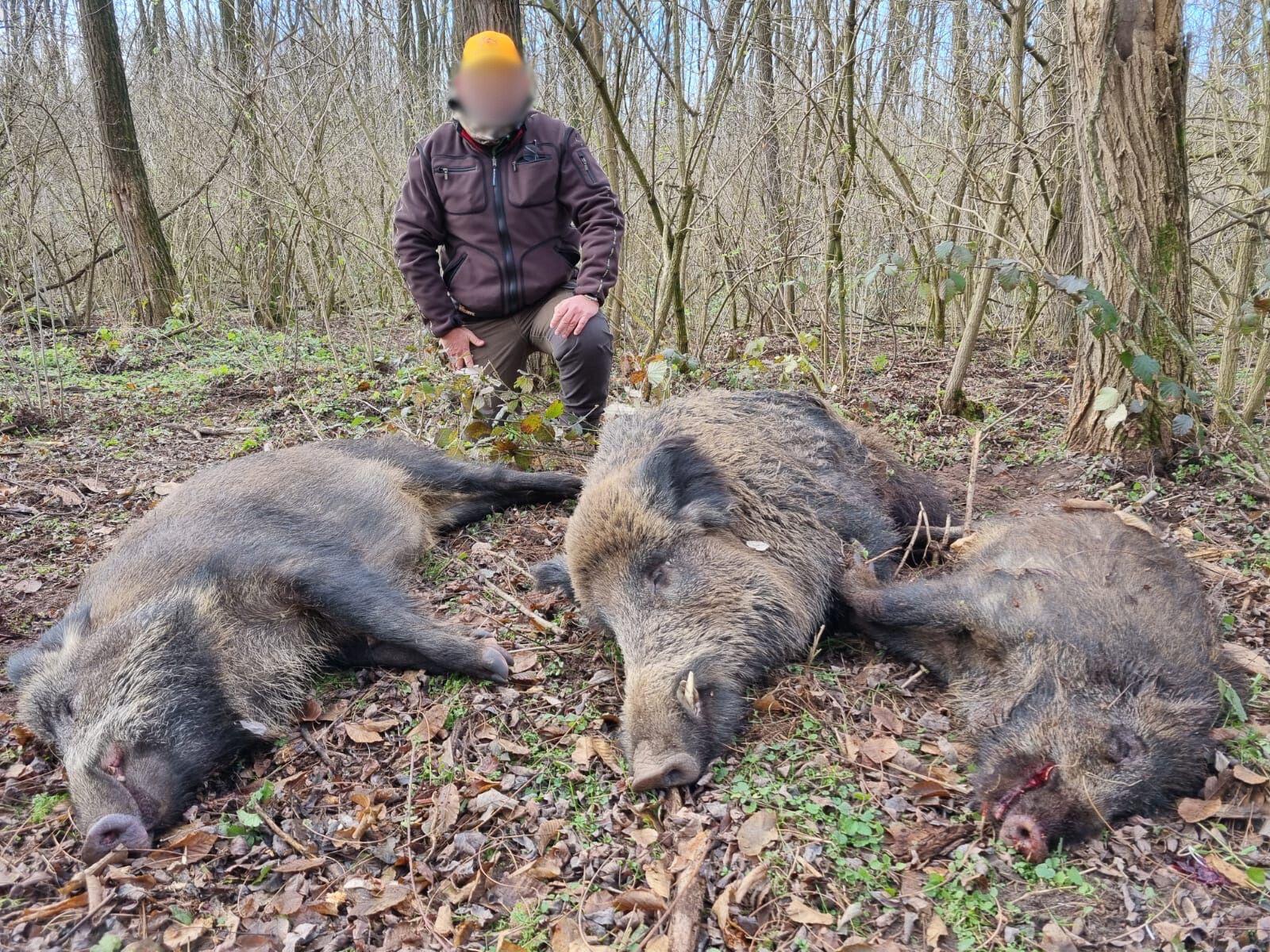 Hunting trip poster for Hungary wild boar Kaszo event by A1 Decoy Ltd, scheduled for January 21-23, 2026.