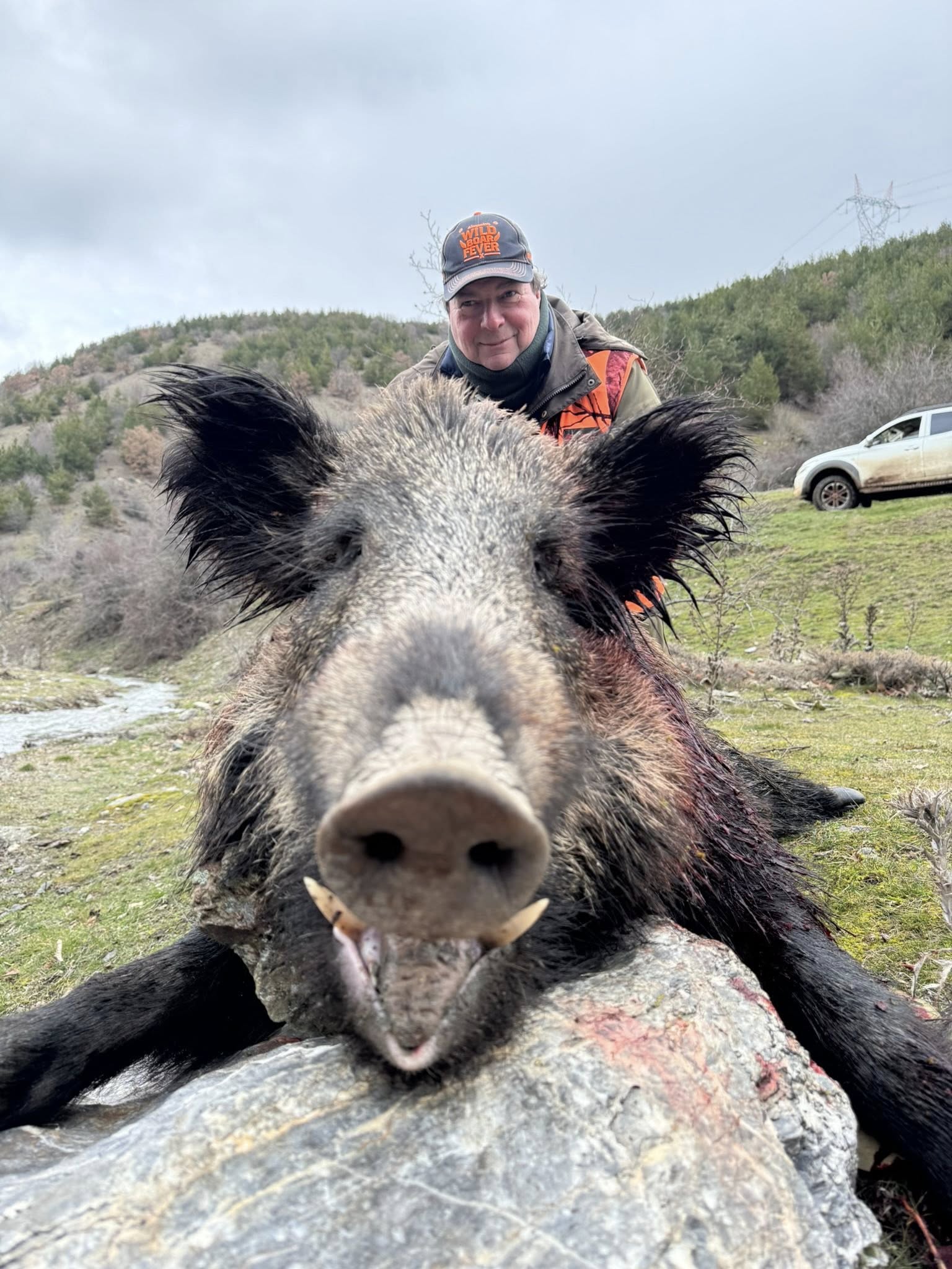 Driven Wild Boar Hunting in Turkey by A1 Decoy Ltd, showing hunters and wild boars during a 5-6 day shooting expedition.