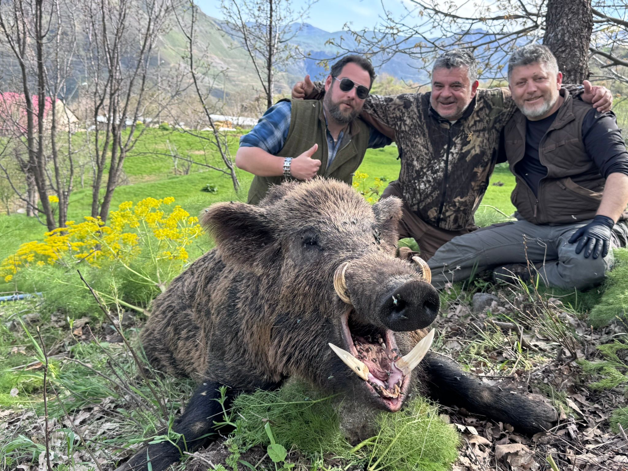 A1 DECOY LTD wild boar hunting decoy in Turkey's Hidden Valley, November 2026, for driven hunting in this new area.