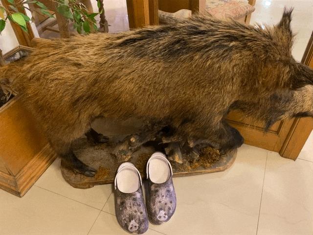 Men's Wildboar Crocs in black, featuring a comfortable slip-on design and textured sole, from ALIEXPRESS.