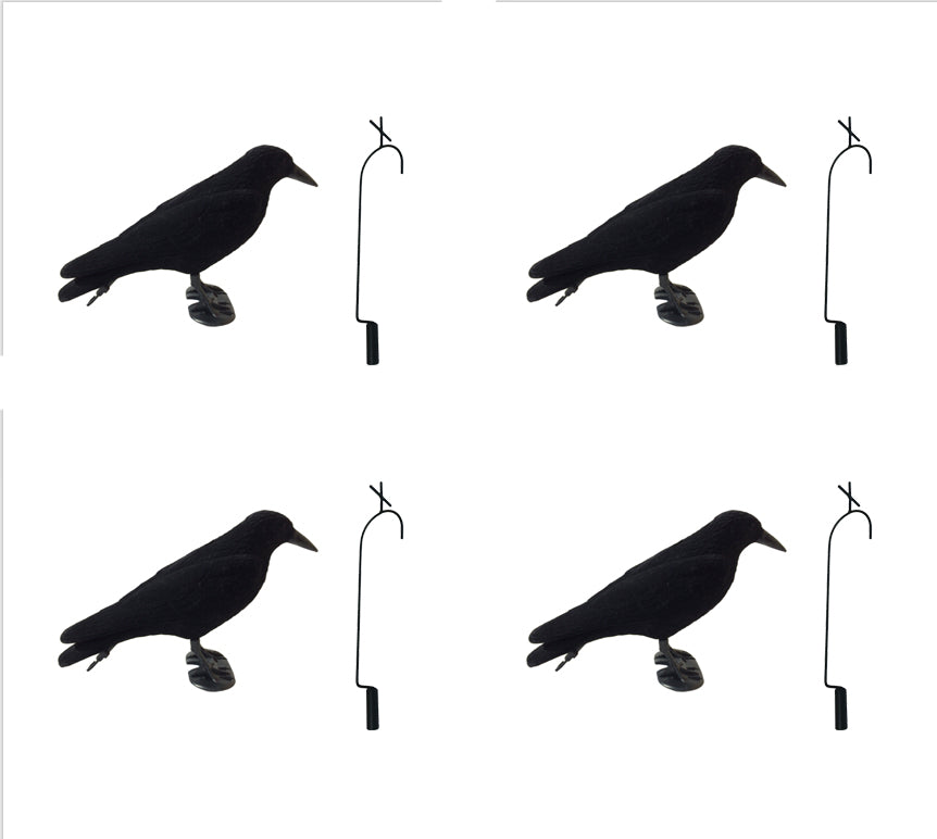 Pack of 4 Flocked Crow Full Body Decoys and 4 Lofting Hooks