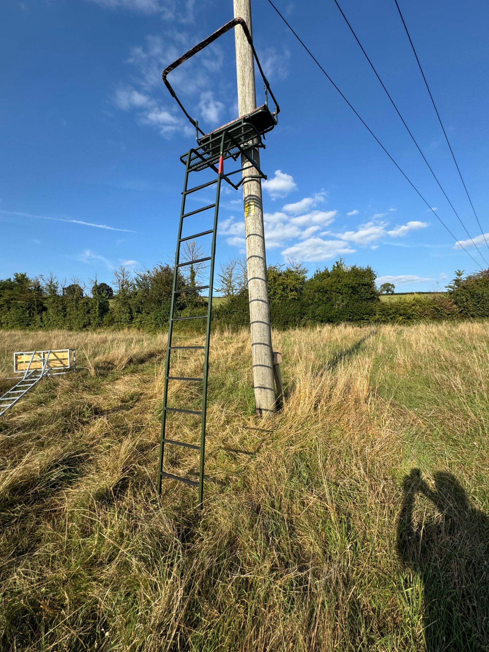 DALE double lean-to high seat two-man ladder stand with padded seating, galvanized steel for outdoor hunting or wildlife observation.