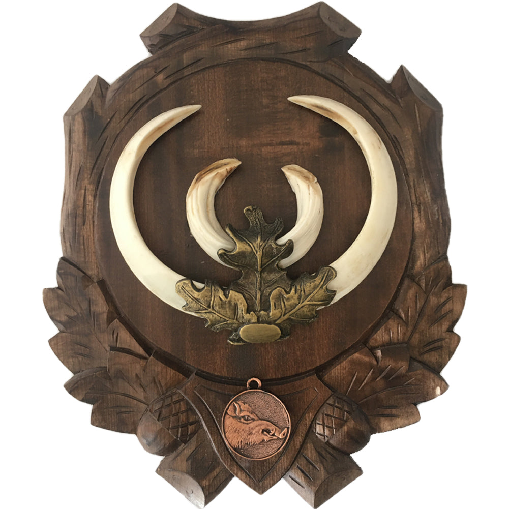 Wild boar trophy mount by A1 DECAY LTD, showcasing a professional mounted wild boar head with detailed antlers and realistic features.