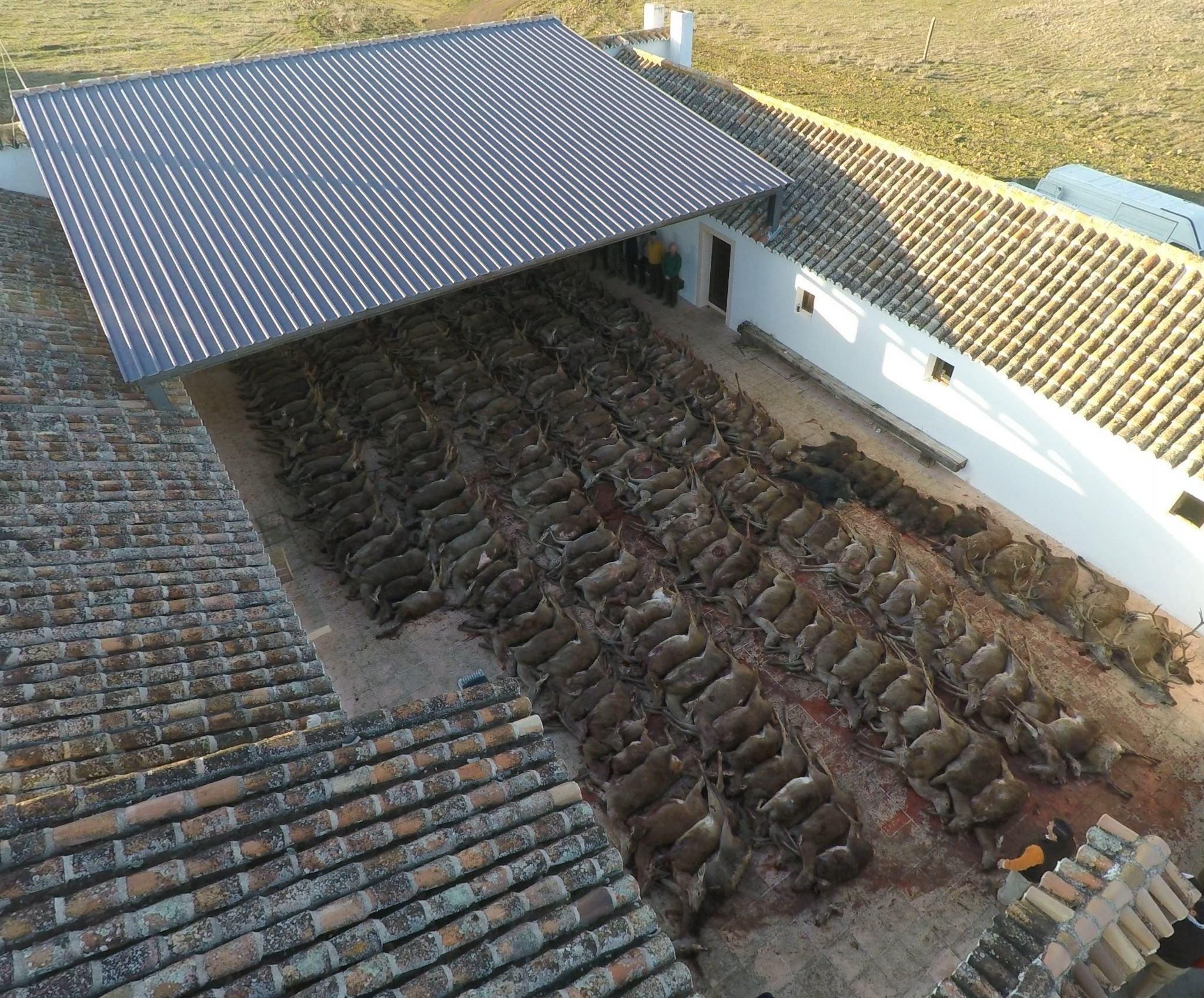 Spanish Monteria Mid February 2021