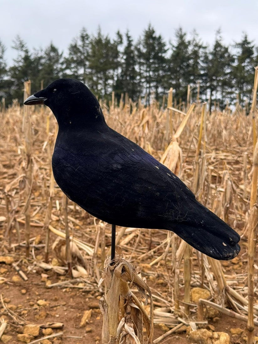 Three fully flocked crow decoys from A1 Decoy Ltd's Final Approach collection, designed for realistic bird hunting decoys.