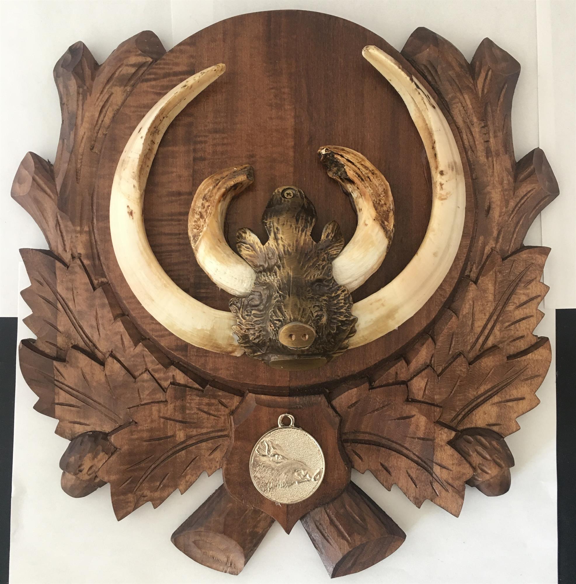 Small bronze boar head trophy plate by SPJAGD, detailed sculpture of a boar's head with realistic features.