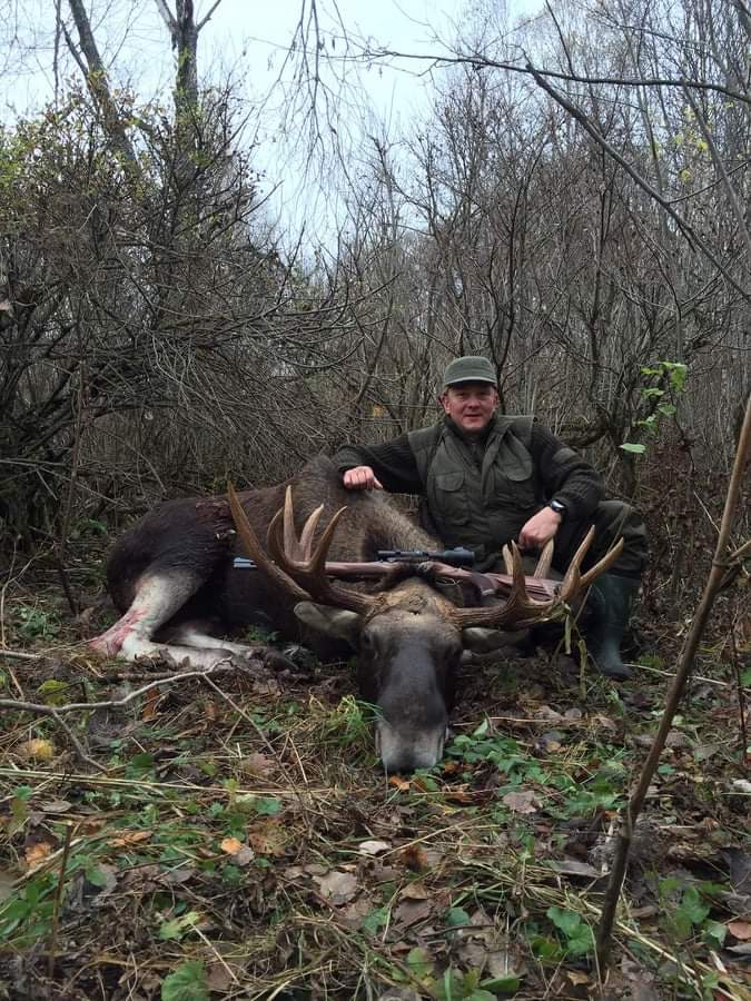 Siberian Moose hunting trip in Russia with A1 DECOY LTD showing a large moose in its natural forest habitat