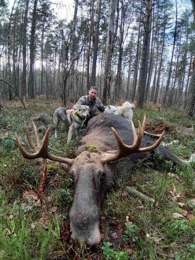 Siberian moose hunting trip in Russia featuring A1 DECOY LTD, with a scenic landscape and hunting gear in the image.
