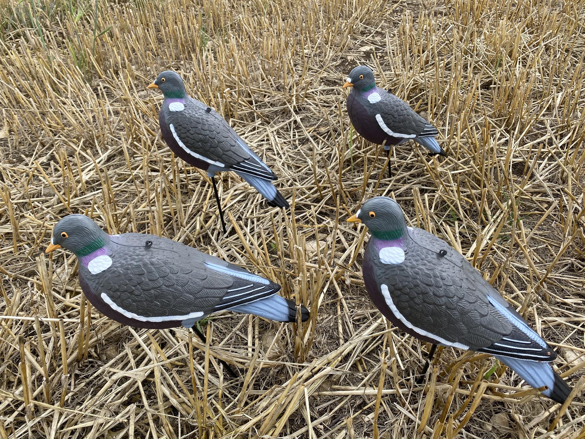 Four A1 Decoy HD pigeon decoys on a stubble field