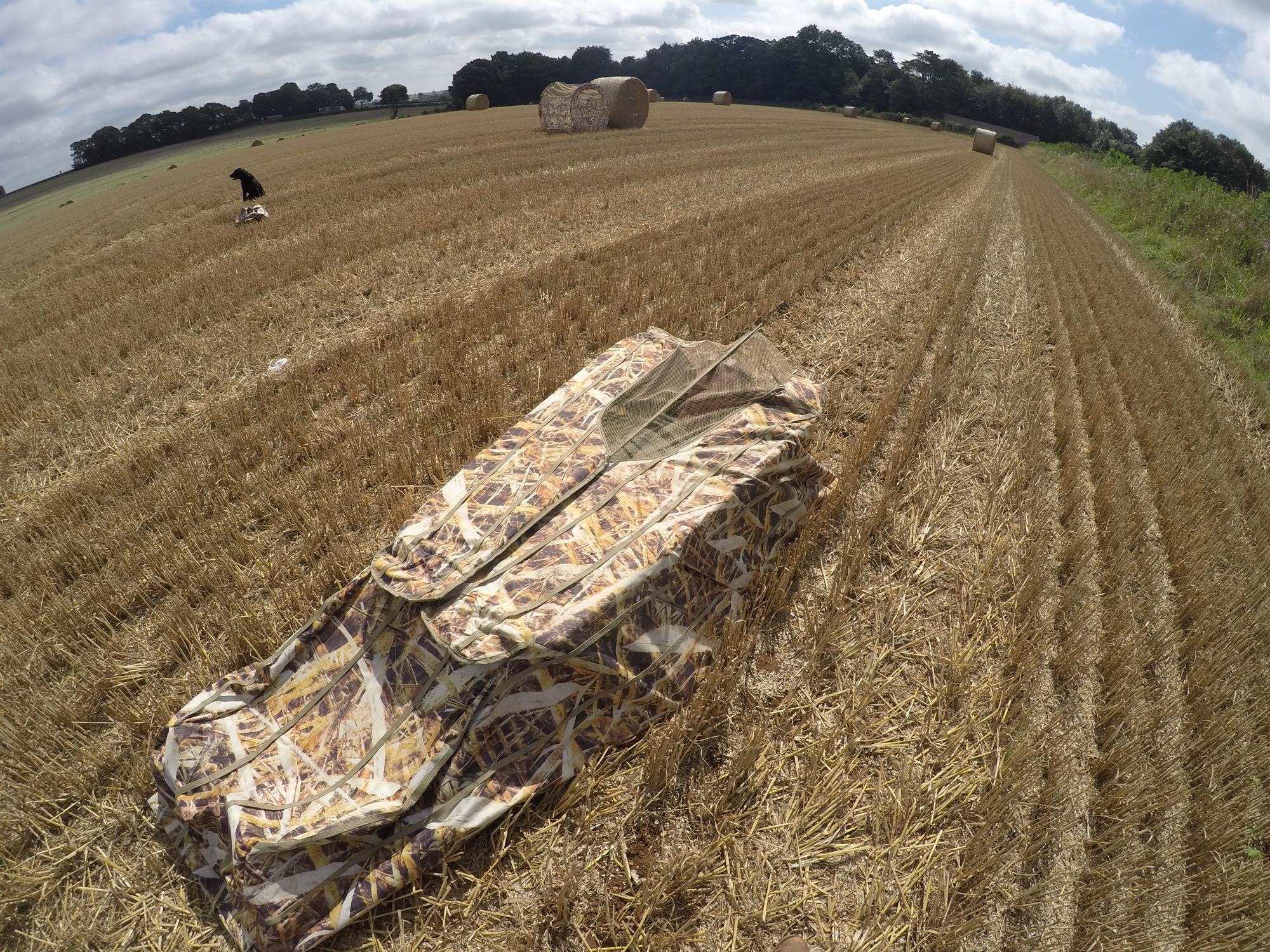 Camouflage ground blind for wildfowl hunting, Dale laydown goose hide with pop-up design and camo pattern for concealment.