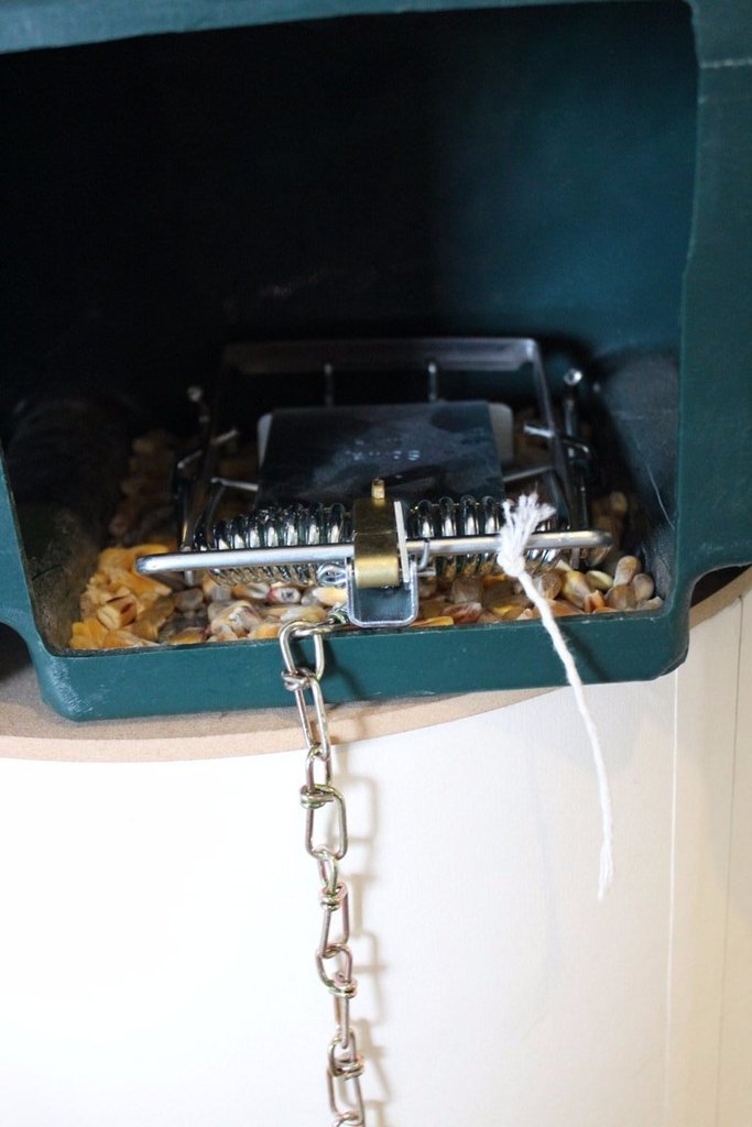 QUILL FEN TRAP MK 4 and vermin box for pest control, showing the traps and box in a natural outdoor setting