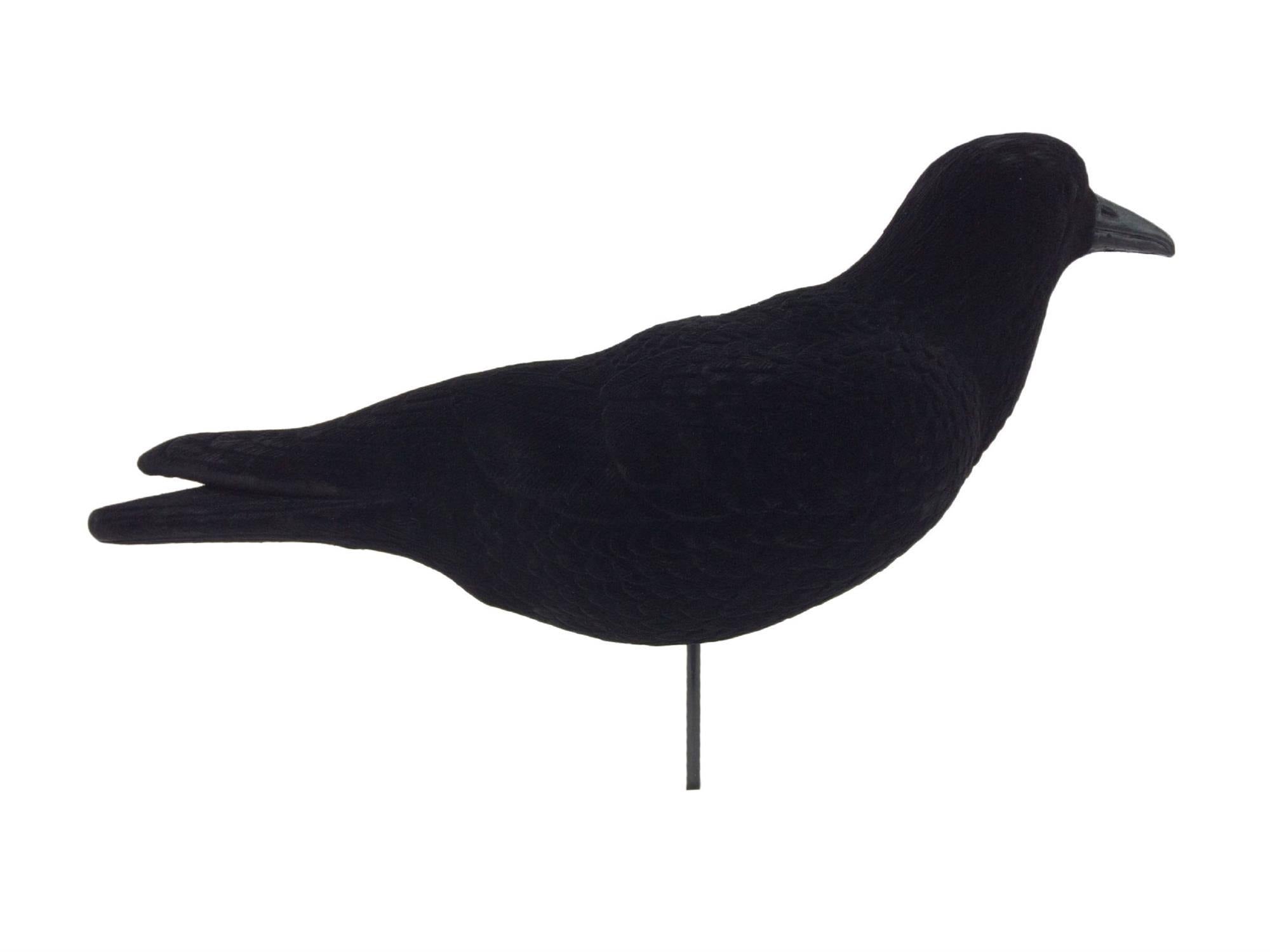 FLOCKED CROW SHELL DECOY (MAGNUM SIZE)