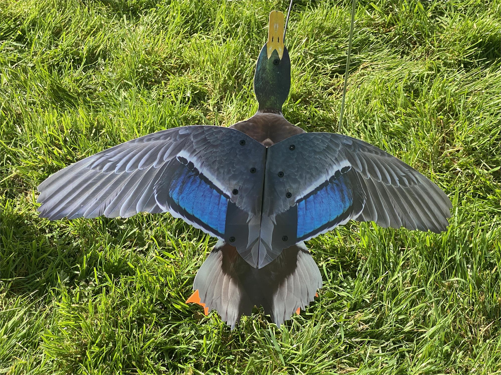 Pair of flying mallard decoys featuring drake and duck with motion motion deceivers, spring wire, and ground spike for hunting or decoy setup.