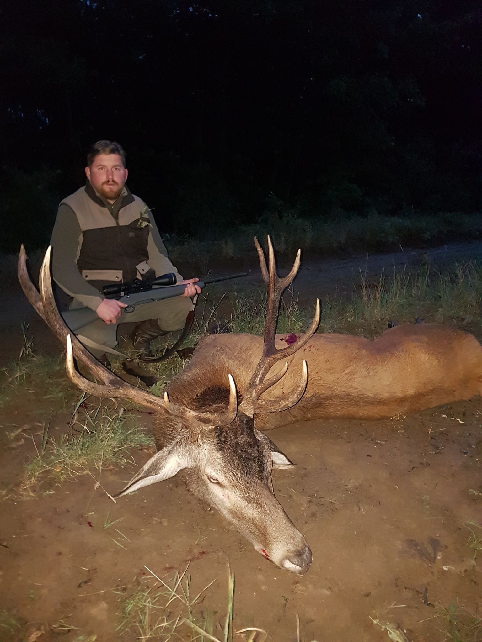 A1 DECOY LTD realistic Wild Boar, Red Stag, and Roe deer decoys for hunting trips in Hungary.