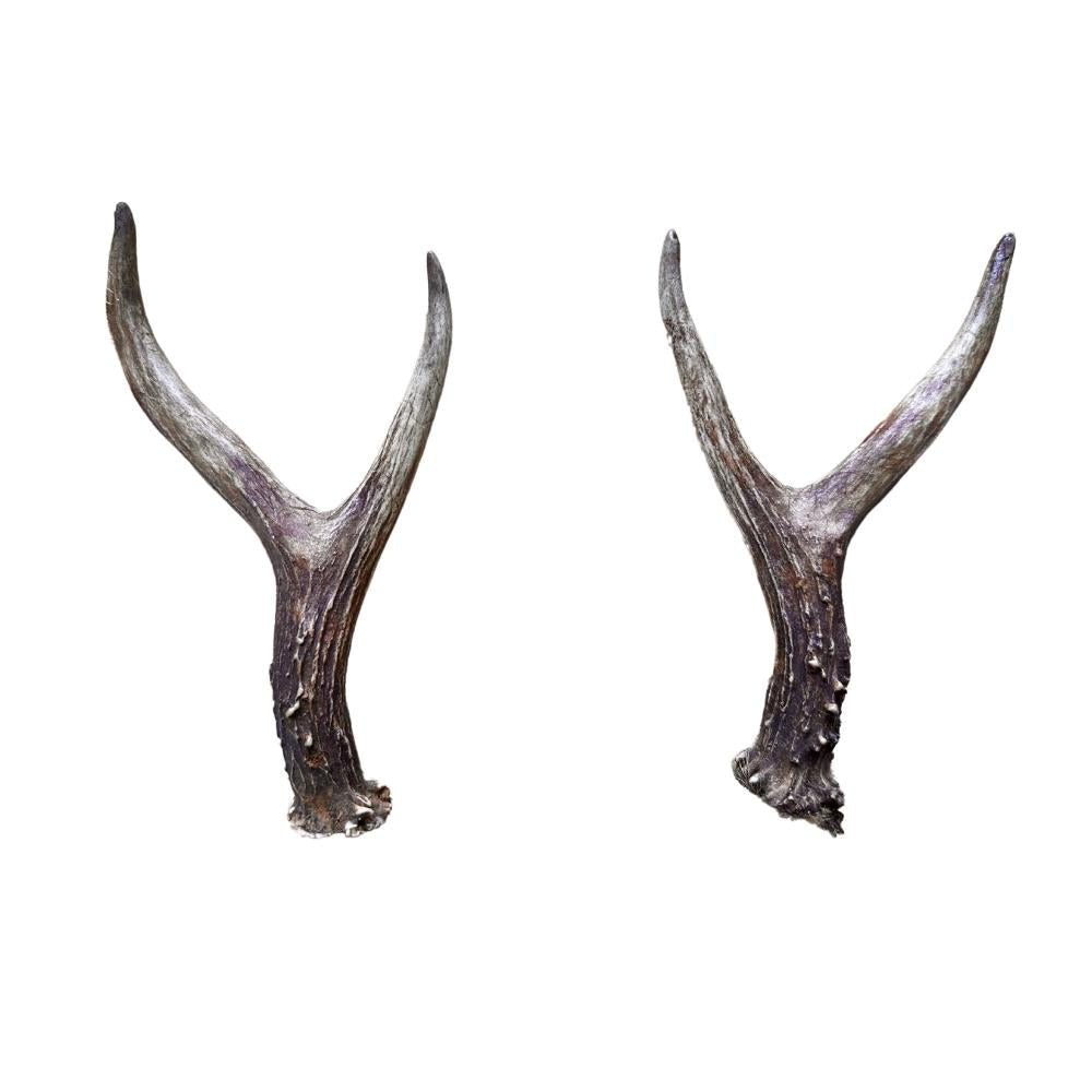 Pair of Roe Deer antlers for thumb sticks by A1 DECOY LTD, showcasing realistic natural-looking antlers for decorative or hunting use.