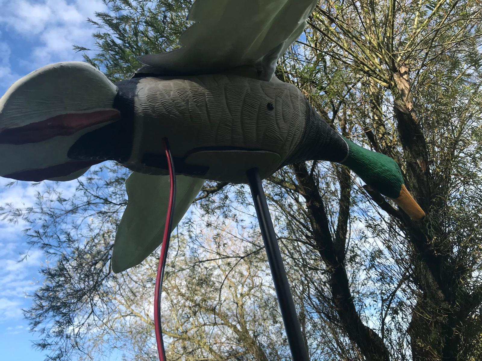 Flapping Mallard Duck Decoy