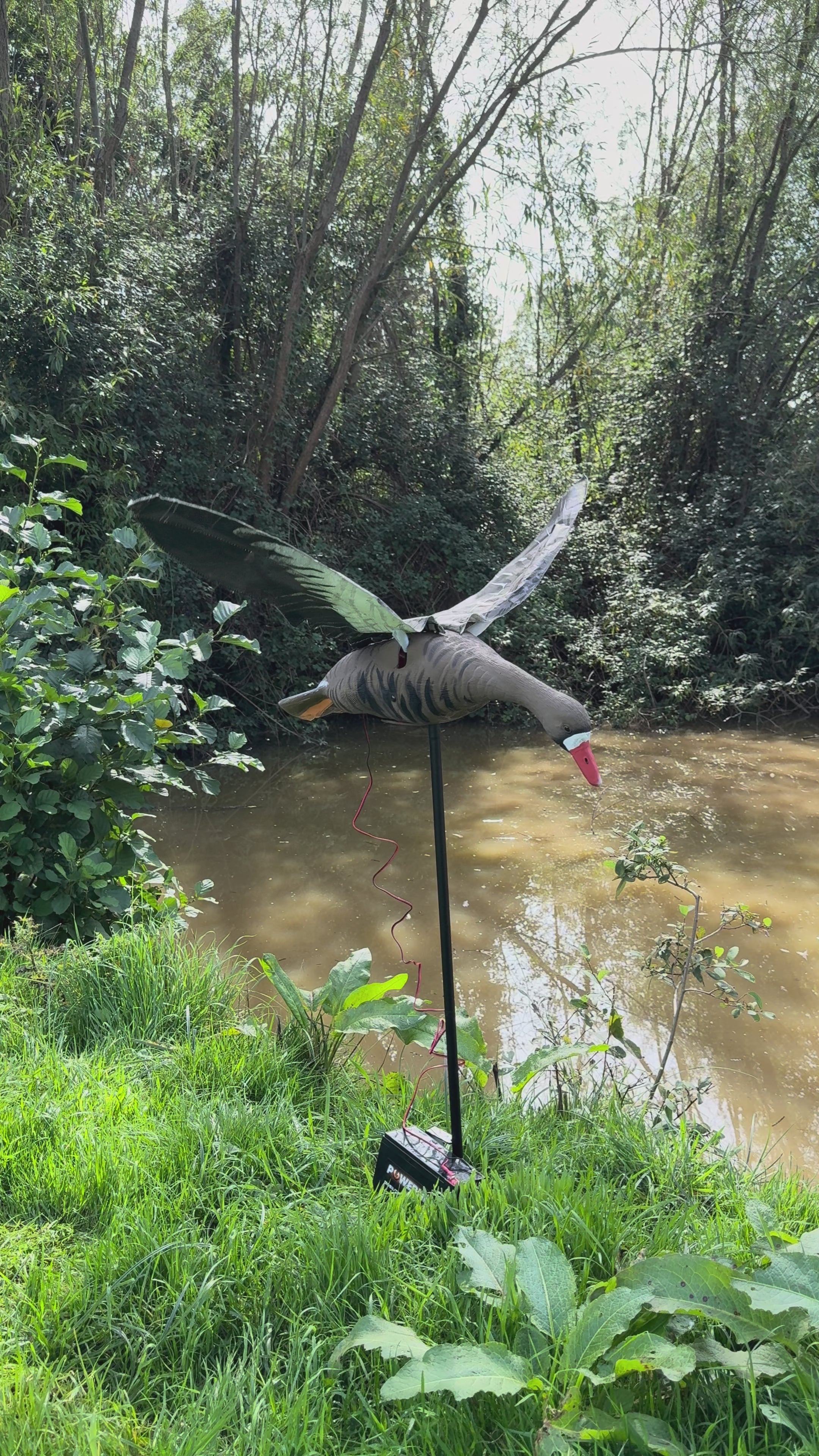 Flapping Greylag Goose Decoy