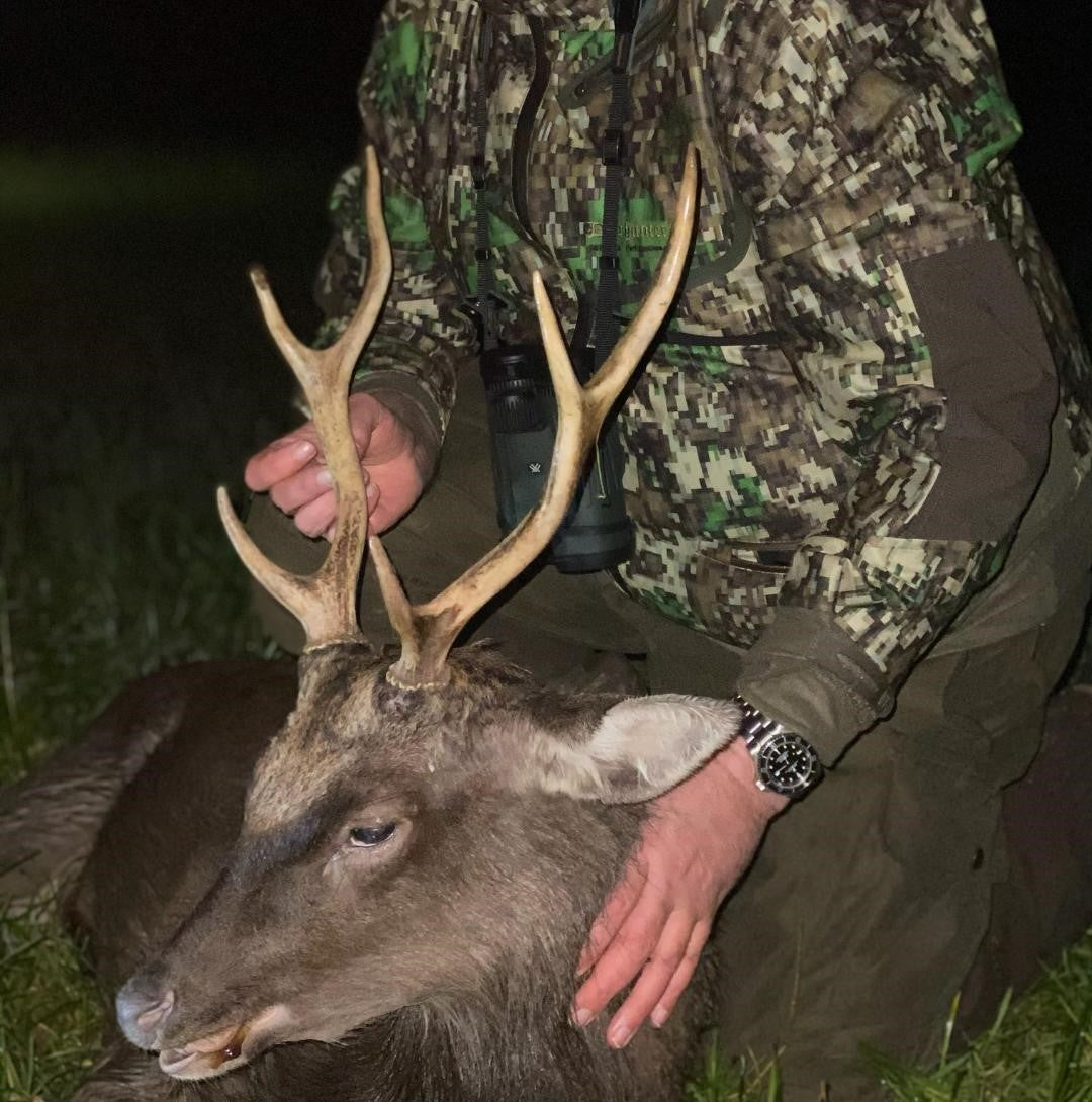 A1 Decoy Deer Stalking Syndicate with a wild boar area in the Forest of Dean, featuring realistic wildlife decoys in a wooded setting.