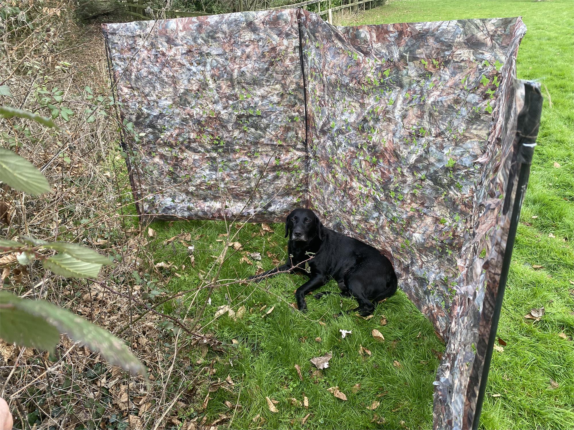 Simon Stealth Ghost Net Hedgerow and Woodland, 4-meter wildlife net for garden protection and wildlife fencing.
