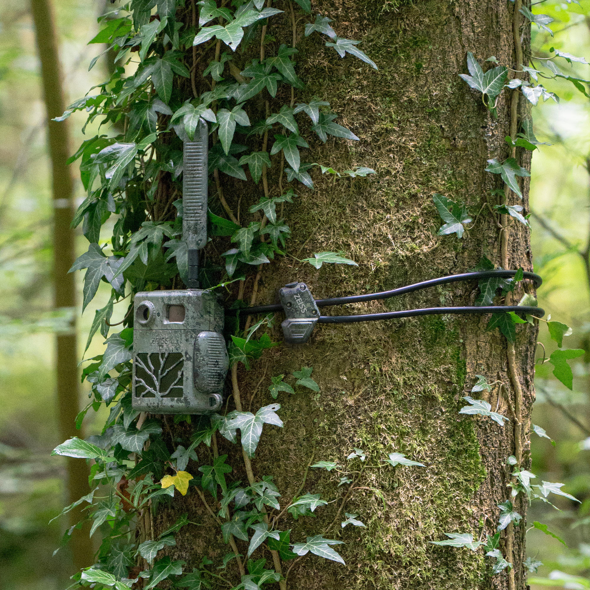 ZEISS Cable Lock with Key